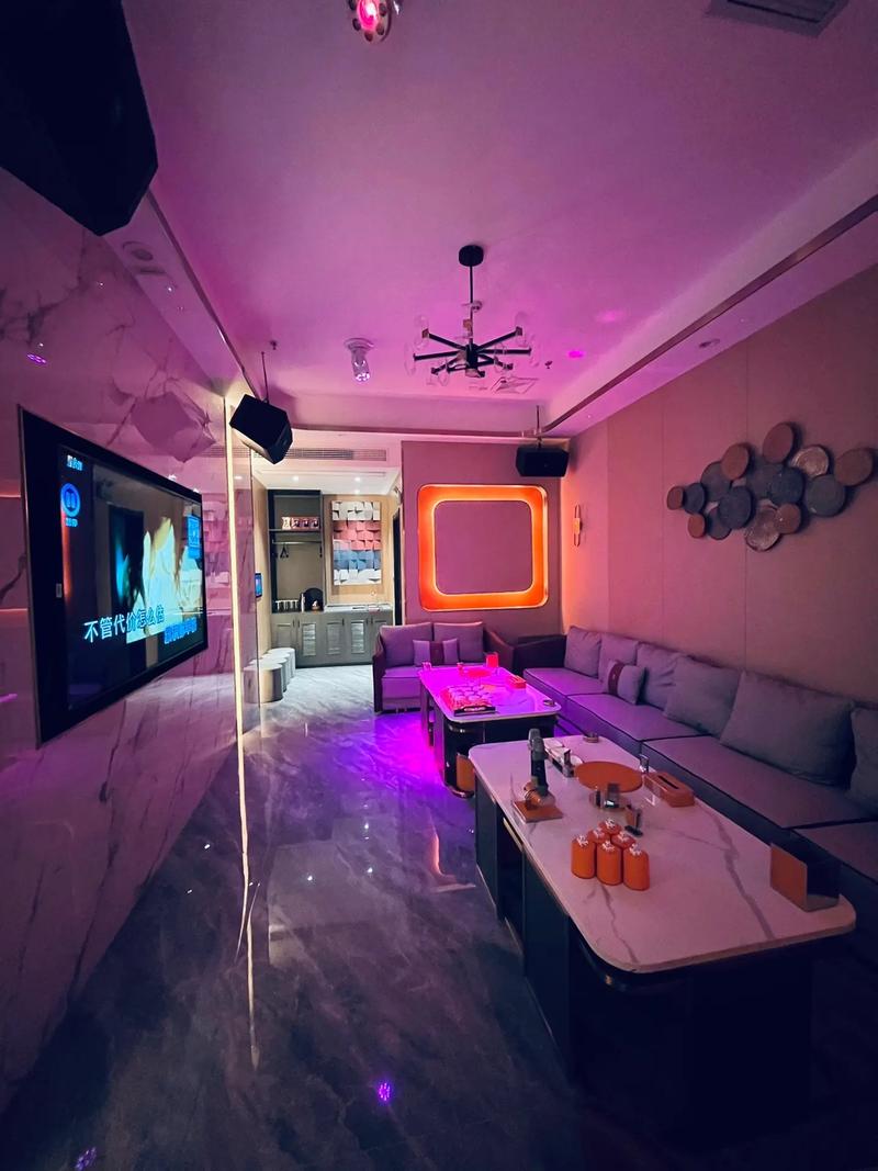 崇左商务ktv环境优质体验怎么样-扶绥县ktv预订